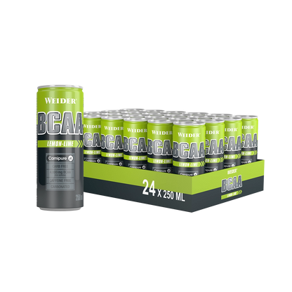24er Box | BCAA RTD